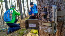 From Brasov: Wildlife tracking in Putna Vrancea Natural Park