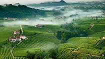 Franciacorta Wines & Bergamo from Milan - Private Tour 
