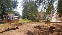 Airport Transfer, Paleik Snake Pagoda, a little bit of Bagan and to AVA
