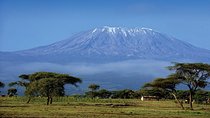 1 Day Mount Kilimanjaro Hike Trip