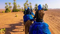 Sunset Camel Ride Tour In Marrakech Palm Groves