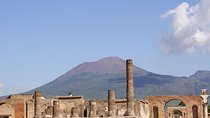 Pompeii and Sorrento Private Day Tour from Rome