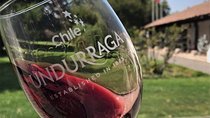 Undurraga Winery - Tour with Tasting