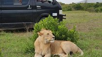8 days kenya Tanzania combined holiday safari adventure