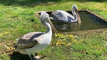 Karavasta lagoon and Boat trip - Daily tour from Tirana