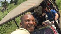 Mikumi National Park 2 Days 1 Nights 