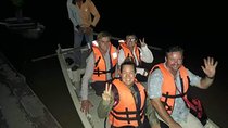 Private: Firefly tour from Kuala Lumpur