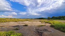 Kikuletwa Hot Springs