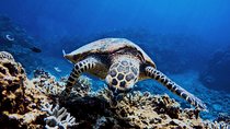 03 Days Sri Lanka Tour - Wild Life Hotspots 