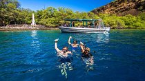 Premium Kona Coast Morning Snorkel