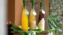 Lombok Half-Day Traditional Herbal Drink Workshop (Jamu Class)