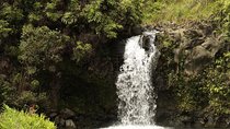 Waterfall and Rainforest Adventure