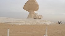 2-Days Tour To Bahariya Oasis and White desert from Cairo