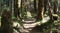 One-Day Hiking and Trekking in Kathmandu Valley