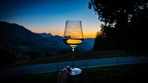 Best of Cape Town Wines - Cape Winelands Tour