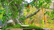 Aukana and Anuradhapura Day Tour From Polonnaruwa