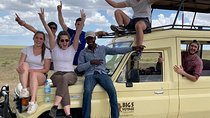 1 day trip at Ngorongoro crater