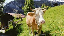 Explore the Instaworthy Spots of Interlaken with a Local