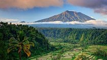 Best bali transport service - custom your own itinerary