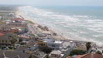 Swim with Penguins At Boulders Chapman's Peak Exc Entry Fees