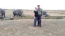 Day safari to Olpejeta Rhino conservancy