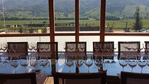 Colchagua Valley Experience 