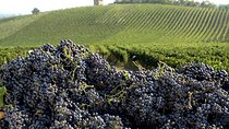 Valtellina Food Tour : Lake Como and Mountains discover - Private tour 