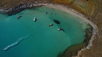 Private Speedboat Cruise from Delos to Rhenia and Mykonos