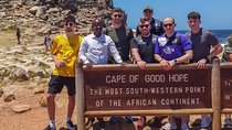 Private Tour Cape of Good Hope & Penguins Sightseeing Full day 