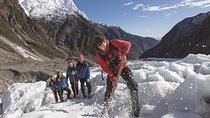 5 Day South Island Circut: Trains, Glaciers and Milford Sound from Christchurch