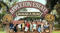 Private Customizable Waterfalls, Crocodiles, Rum Tasting, or Pelican Bar Tour
