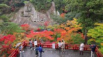 Fukui private full day/Photoshoot by professional photographer