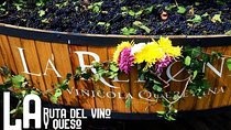 Private Tour: Wine and Cheese Route from CDMX (All included)