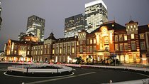 Tokyo City Night View Tour with Native Japanese Driver
