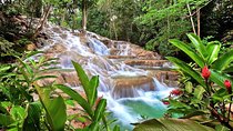 Dunn's river falls, shopping and lunch