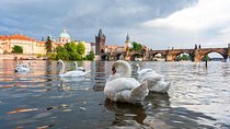 One-way Private Transfer From/To Prague Airport