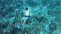 Experience Snorkel Cozumel, swim in the beautiful reef's from Cancun