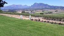 Full Day Wine Tasting in Stellenbosch, Franschoek & Paarl fees included