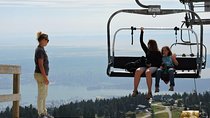 Small Group Tour: Capilano Suspension Bridge and Grouse Mountain from Vancouver