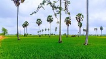 Killing Field & Paddy Rice Fields Tuk Tuk Adventure 