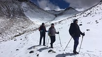 Cerro Toco (Volcano) 5,604 m.a.s.l.