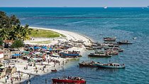 Dar Es Salaam City Tour. All Must See Things (private Guide And Transfer) 9 Hrs 
