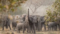 Custom 2 Days Akagera Wildlife Tour