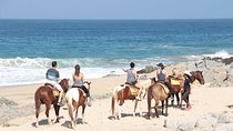 Beach & Desert Horseback Tour