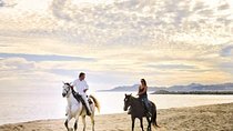 Horseback Riding on The Beach and Through The Desert! 