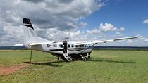 Mikumi National Park From Zanzibar Flying Option Day Trip