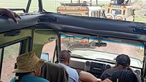 Ngorongoro National Park and Game Drive: Guided Day Tour from Arusha