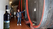 Wine and Food tasting PRIVATE Guided Tour