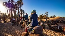 Luxury 7 Days From Tanger to Merrakech 