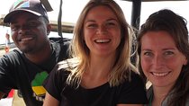 Ngorongoro Day Trip